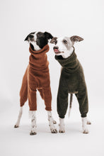 Load image into Gallery viewer, One whippet and a silken windsprite wearing wool jumpsuits in different colors. One is green with a short neck reaching about half up the neck, and the other is brown with a long neck scrunched down but reaching up to the base of the ears.