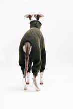Load image into Gallery viewer, A whippet standing with its back towards the camera. He's in photo studio, wearing a green wool jumpsuit which follows the curve of his back, and leaves a not too small, and not too large, hole for the tail. The legs of the jumpsuit reaches just above the hooks.