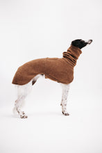 Load image into Gallery viewer, Whippet coat in 100 % wool