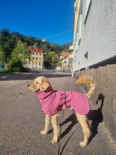 Load image into Gallery viewer, Wool Coat size 5- Rose - Long neck