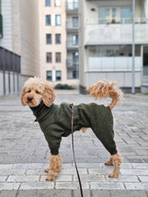 Load image into Gallery viewer, An apricot poodle wearing a forest green jumpsuit in wool. He is standing with his side facing the camera. The jumpsuit has a hole on the back for the leash. 
