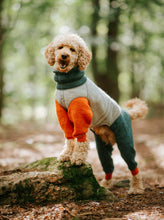 Load image into Gallery viewer, A medium poodle wearing a jumpsuit made of wool. The front legs of the jumpsuit are orange, the body is grey, and the neck and back legs are dark green. 
