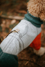 Load image into Gallery viewer, Close up of the back of dog wearing a grey, green and orange jumpsuit. 
