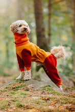 Load image into Gallery viewer, Pudel står med framtassarna på en sten. Han har på sig en hundoverall med röda ben, gul kropp och orange hals.