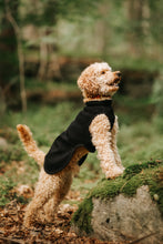 Load image into Gallery viewer, Whippet Wool Vest - Long Thigh