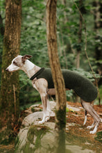 Load image into Gallery viewer, Whippet Wool Vest - Long Thigh