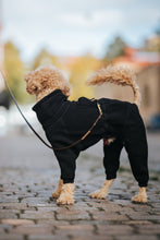 Load image into Gallery viewer, Rhodesian Ridgeback Wool Overall