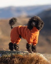 Load image into Gallery viewer, Burnt Orange - Size 2 (wide)