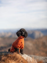 Load image into Gallery viewer, Burnt Orange - Size 2 (wide)