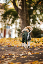 Load image into Gallery viewer, Rhodesian Ridgeback Wool Overall