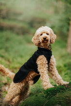 Load image into Gallery viewer, Dog wearing a black, tight coat standing on a grassy area