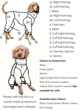 Load image into Gallery viewer, Whippet Jumpsuit in 100 % wool