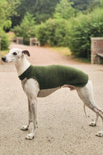 Load image into Gallery viewer, A whippet standing with his side facing the camera. He is wearing a whippet vest made of wool. The neck and back is a dark green, and the part under the chest is light beige.