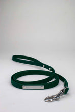 Load image into Gallery viewer, Silver hardware- Leash in Biothane - READY MADE