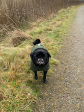 Load image into Gallery viewer, Pug Wool Coat - Rose - short neck