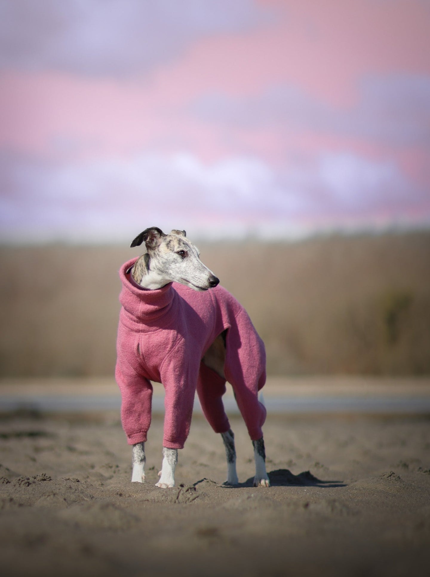 Whippet Jumpsuit in 100 % wool