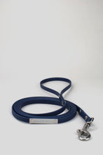 Load image into Gallery viewer, Blue lead in biothane with silver details.