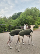 Load image into Gallery viewer, Two whippets facing away diagonally from the camera. They are wearing a whippet vest made of wool. The neck and back is a dark green, and the part under the chest is light beige.

