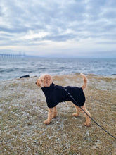 Load image into Gallery viewer, Pug Wool Coat in 100 % wool - Short neck