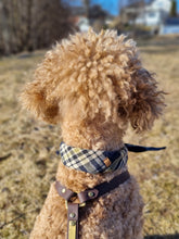 Load image into Gallery viewer, Dog Bandana - Blue Square