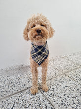 Load image into Gallery viewer, Dog Bandana - Blue Square