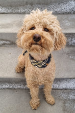 Load image into Gallery viewer, Dog Bandana - Blue Square