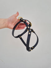 Load image into Gallery viewer, 16 mm custom made waterproof Y-harness in Biothane - 6 colours