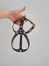 Load image into Gallery viewer, 16 mm custom made waterproof Y-harness in Biothane - 6 colours