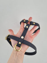 Load image into Gallery viewer, 16 mm custom made waterproof Y-harness in Biothane - 6 colours