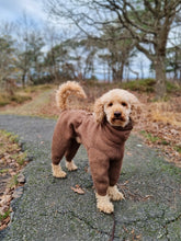 Load image into Gallery viewer, Pug Wool Coat in 100 % wool - Short neck