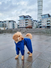 Load image into Gallery viewer, A medium poodle wearing a jumpsuit made of wool. The jumpsuit is a blueberry blue colour.
