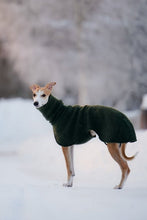 Load image into Gallery viewer, Whippet coat in 100 % wool