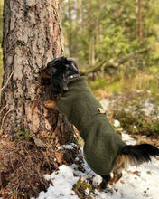 Load image into Gallery viewer, Dachshund Wool Coat in 100 % wool