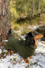 Load image into Gallery viewer, Dachshund Wool Coat in 100 % wool