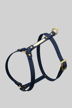 Load image into Gallery viewer, 16 mm custom made waterproof Y-harness in Biothane - 6 colours
