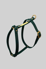 Load image into Gallery viewer, 16 mm custom made waterproof Y-harness in Biothane - 6 colours