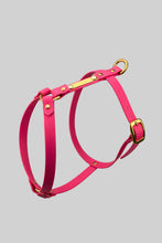 Load image into Gallery viewer, 16 mm custom made waterproof Y-harness in Biothane - 6 colours