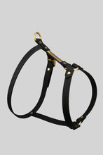 Load image into Gallery viewer, 16 mm custom made waterproof Y-harness in Biothane - 6 colours