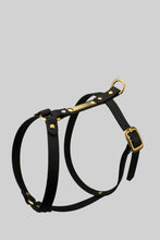 Load image into Gallery viewer, 16 mm custom made waterproof Y-harness in Biothane - 6 colours