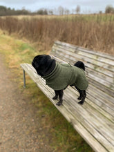 Load image into Gallery viewer, Pug Wool Coat in 100 % wool - Short neck

