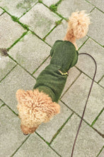 Load image into Gallery viewer, Dachshund Wool Coat in 100 % wool