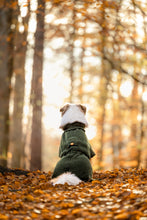 Load image into Gallery viewer, Wool Coat - size 3, 4 &amp; 5 - short neck
