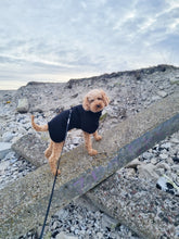 Load image into Gallery viewer, Rhodesian Ridgeback Wool Overall
