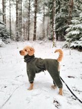 Load image into Gallery viewer, Rhodesian Ridgeback Wool Overall

