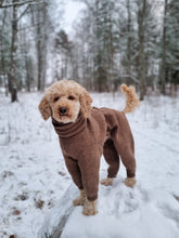 Load image into Gallery viewer, Rhodesian Ridgeback Wool Overall
