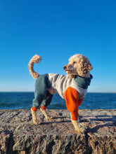 Load image into Gallery viewer, A medium poodle wearing a jumpsuit made of wool. The front legs of the jumpsuit are orange, the body is grey, and the neck and back legs are dark green.
