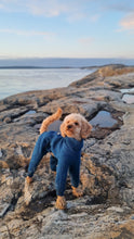 Load image into Gallery viewer, Rhodesian Ridgeback Wool Overall
