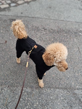 Load image into Gallery viewer, An apricot poodle wearing a black jumpsuit. 
