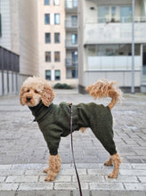 Load image into Gallery viewer, An apricot poodle wearing a forest green jumpsuit in wool. He is standing with his side facing the camera. The jumpsuit has a hole on the back for the leash.
