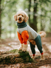Load image into Gallery viewer, Rhodesian Ridgeback Wool Overall
